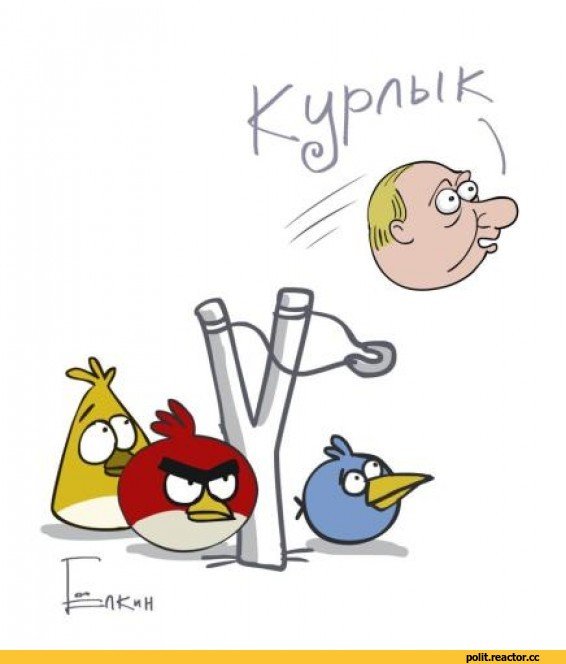 политота-елкин-Путин-angry-birds-348446.jpeg
