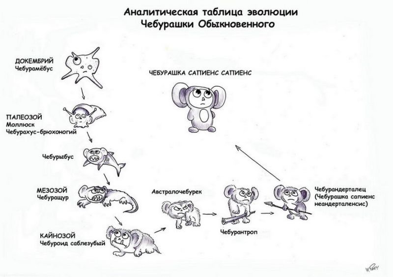 cheburashka.jpg