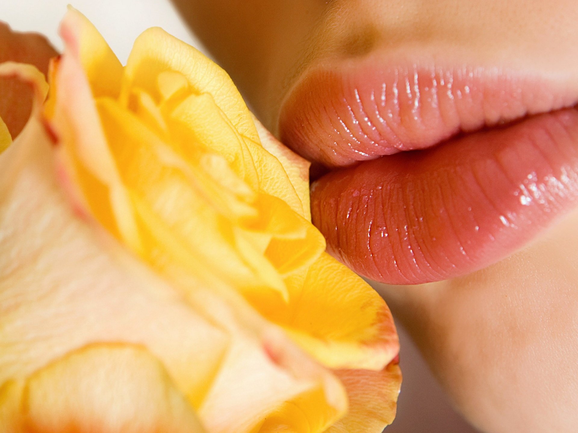 Artistic-Image-Red-Lips-Kissing-the-Flower-the-Lucky-One.jpg