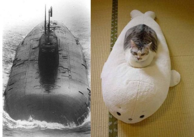 cat_submarine.jpg