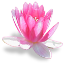 flower002.png