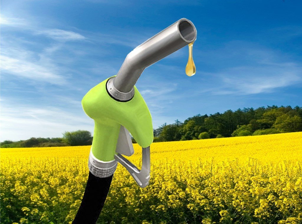 biodiesel-Arslan2015-1024x762.jpg
