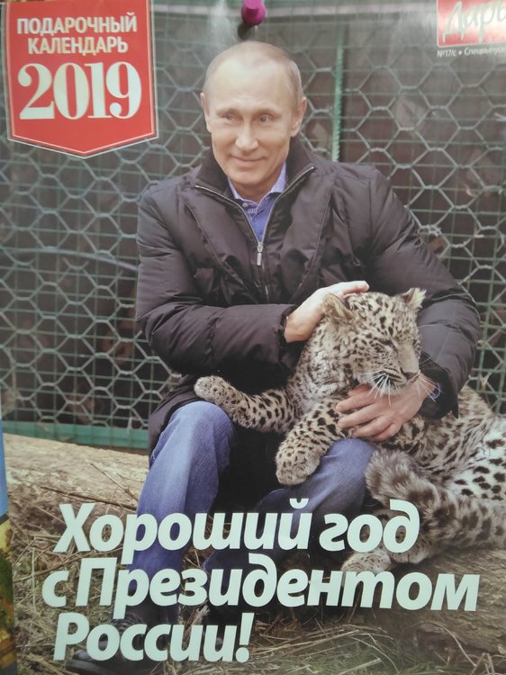 календарь-Путин 2019.jpg