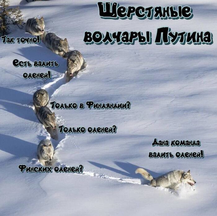 k3bsiiwa.jpg.2b9d53a277dace38c5a414da293e3206.jpg